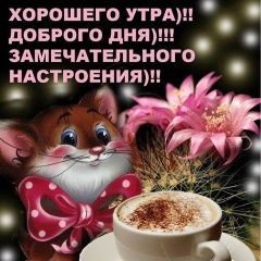 Подробнее об объявлении «Мокшан Найдена собака кобель» Фото: найдена собака  «Мокшан Найдена собака кобель» в г. Мокшан