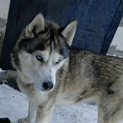 ����: ������� ������ ��������� ����� �������� ������ ������ ������� � �. �������