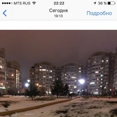 Подробнее об объявлении «Найдена собака бегает собака в куркино Москва» Фото: найдена собака  «Найдена собака бегает собака в куркино Москва» в г. Москва