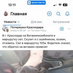 Подробнее об объявлении «Найдена собака кобель Краснодар» Фото: найдена собака  «Найдена собака кобель Краснодар» в г. Краснодар