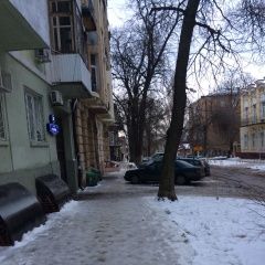 Подробнее об объявлении «Ростов-на-Дону Найдена собака» Фото: найдена собака  «Ростов-на-Дону Найдена собака» в г. Ростов-на-Дону