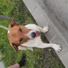 ����: ������� ������  �������� ������ ������ ������� ������� ������������ � �. �����������