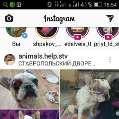 Подробнее об объявлении «Найдена собака кобель Ставрополь» Фото: найдена собака Французский бульдог «Найдена собака кобель Ставрополь» в г. Ставрополь