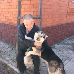 Подробнее об объявлении «Полушкино Найдена собака» Фото: найдена собака  «Полушкино Найдена собака» в г. Полушкино