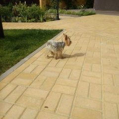 Подробнее об объявлении «Воронеж Найдена собака» Фото: найдена собака Йоркширский терьер «Воронеж Найдена собака» в г. Воронеж