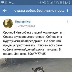 Подробнее об объявлении «Иркутск Найдена собака сука хаски» Фото: найдена собака Сибирская хаски «Иркутск Найдена собака сука хаски» в г. Иркутск