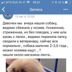 Подробнее об объявлении «Найдена собака кобель пекинес палевый с черной маской Истра» Фото: найдена собака Пекинес «Найдена собака кобель пекинес палевый с черной...» в г. Истра
