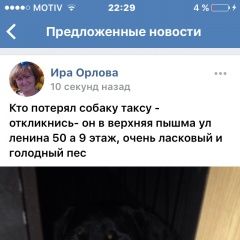 Подробнее об объявлении «Найдена собака кобель Верхняя Пышма» Фото: найдена собака Такса «Найдена собака кобель Верхняя Пышма» в г. Верхняя Пышма