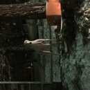 Подробнее об объявлении «Магнитогорск Найдена собака» Фото: найдена собака  «Магнитогорск Найдена собака» в г. Магнитогорск