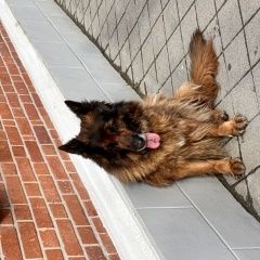 ����: ������� ������ �������� ������� ���������� ������� ������ ������� � �������� � �. ���������