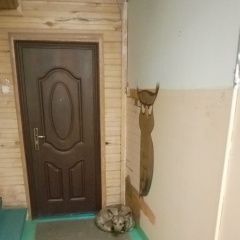 Подробнее об объявлении «Найдена собака сидит в подъезде Нижний Новгород» Фото: найдена собака  «Найдена собака сидит в подъезде Нижний Новгород» в г. Нижний Новгород