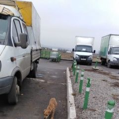 Подробнее об объявлении «Найдена собака Ростов-на-Дону» Фото: найдена собака  «Найдена собака Ростов-на-Дону» в г. Ростов-на-Дону