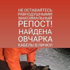 Подробнее об объявлении «Найдена собака кобель Абакан Хакасия» Фото: найдена собака Немецкая овчарка «Найдена собака кобель Абакан Хакасия» в г. Абакан Хакасия