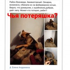 Подробнее об объявлении «Найдена собака Ростов-на-Дону» Фото: найдена собака Немецкая овчарка «Найдена собака Ростов-на-Дону» в г. Ростов-на-Дону