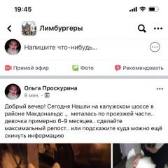 Подробнее об объявлении «Найдена собака Троицк» Фото: найдена собака Самоедская лайка «Найдена собака Троицк» в г. Троицк
