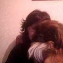 Подробнее об объявлении «Найдена собака кобель Нижний Новгород» Фото: найдена собака Пекинес «Найдена собака кобель Нижний Новгород» в г. Нижний Новгород