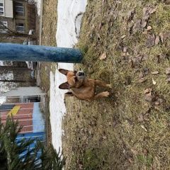 ����: ������� ������ �������� ��������� ������� ������ ������� � �. ��������