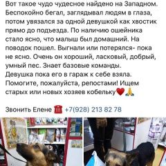 Подробнее об объявлении «Найдена собака Ростов-на-Дону» Фото: найдена собака Немецкая овчарка «Найдена собака Ростов-на-Дону» в г. Ростов-на-Дону