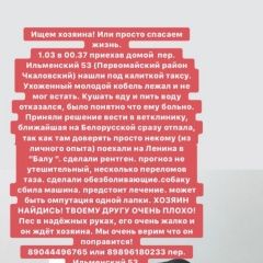 Подробнее об объявлении «Найдена собака кобель Ростов-на-Дону» Фото: найдена собака Такса «Найдена собака кобель Ростов-на-Дону» в г. Ростов-на-Дону
