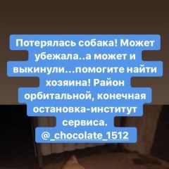 Подробнее об объявлении «Найдена собака Ростов-на-Дону» Фото: найдена собака Японский хин «Найдена собака Ростов-на-Дону» в г. Ростов-на-Дону