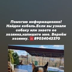 Подробнее об объявлении «Найдена собака кобель Ростов-на-Дону» Фото: найдена собака Сибирская хаски «Найдена собака кобель Ростов-на-Дону» в г. Ростов-на-Дону