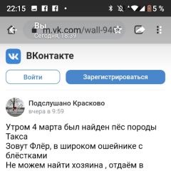 Подробнее об объявлении «Люберцы Найдена собака» Фото: найдена собака Такса «Люберцы Найдена собака» в г. Люберцы