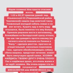 Подробнее об объявлении «Найдена собака кобель Ростов-на-Дону» Фото: найдена собака Такса «Найдена собака кобель Ростов-на-Дону» в г. Ростов-на-Дону