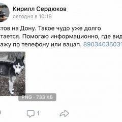 Подробнее об объявлении «Найдена собака Ростов-на-Дону» Фото: найдена собака Сибирская хаски «Найдена собака Ростов-на-Дону» в г. Ростов-на-Дону