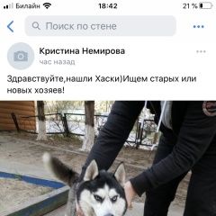 Подробнее об объявлении «Найдена собака Ростов-на-Дону» Фото: найдена собака  «Найдена собака Ростов-на-Дону» в г. Ростов-на-Дону