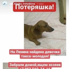 Подробнее об объявлении «Найдена собака Ростов-на-Дону» Фото: найдена собака Такса «Найдена собака Ростов-на-Дону» в г. Ростов-на-Дону