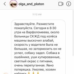 Подробнее об объявлении «Найдена собака Ростов-на-Дону» Фото: найдена собака Среднеазиатская овчарка «Найдена собака Ростов-на-Дону» в г. Ростов-на-Дону