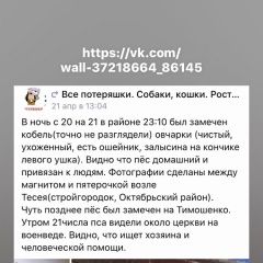 Подробнее об объявлении «Найдена собака Ростов-на-Дону» Фото: найдена собака Немецкая овчарка «Найдена собака Ростов-на-Дону» в г. Ростов-на-Дону