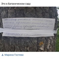 Подробнее об объявлении «Найдена собака Ростов-на-Дону» Фото: найдена собака Такса «Найдена собака Ростов-на-Дону» в г. Ростов-на-Дону