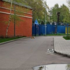 Подробнее об объявлении «Найдена собака кобель Москва» Фото: найдена собака  «Найдена собака кобель Москва» в г. Москва