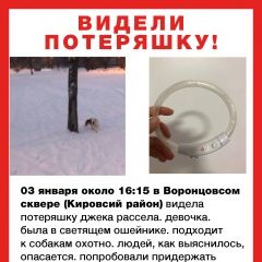 Подробнее об объявлении «Найдена собака ходит потеряшка Санкт-Петербург» Фото: найдена собака Джек рассел терьер «Найдена собака ходит потеряшка Санкт-Петербург» в г. Санкт-Петербург