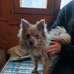 :       vitalinakvn    .  