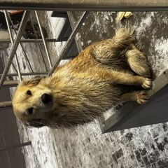 ����: ������� ������  �������� ������ ���������� �������� ��������� � �. ���������