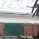 Подробнее об объявлении «Шахты Найдена собака овчарка» Фото: найдена собака Немецкая овчарка «Шахты Найдена собака овчарка» в г. Шахты