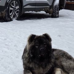 ����: ������� ������ ���������� ������� ������ ������� ������ ������ ���������� ������� � �. �����