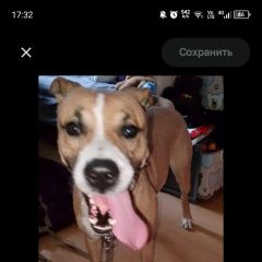 ����: ������� ������ ������������ ��������������� ������ �������� ������ ������ ������ ������� � ������...� � �. �������