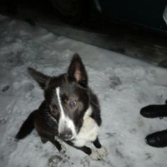 :       19. 32   . ,...  . 