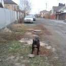 Подробнее об объявлении «Найдена собака кобель может кто ищет. Аксай (Ростовская обл.)» Фото: найдена собака Кане-корсо «Найдена собака кобель может кто ищет. Аксай...» в г. Аксай (Ростовская обл.)