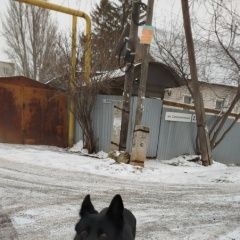 ����: ������� ������ �������� ������� �������� ������ ������ � �. ������