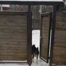 Подробнее об объявлении «Электроугли Найдена собака кобель зсл» Фото: найдена собака Западно-сибирская лайка «Электроугли Найдена собака кобель зсл» в г. Электроугли