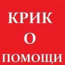 Подробнее об объявлении «Найдена собака Всеволожск» Фото: найдена собака Сибирская хаски «Найдена собака Всеволожск» в г. Всеволожск
