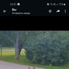Подробнее об объявлении «Москва Найдена собака сука рыжеватая, домашняя, очень напугана» Фото: найдена собака  «Москва Найдена собака сука рыжеватая, домашняя,...» в г. Москва