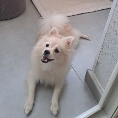 ����: ������� ������ �������� ���� ������� ������� ������ ����� ���� ������ � �. ������