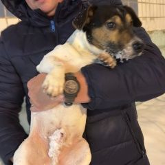 ����: ������� ������ ���� ������ ������ �������� ������� ������ ������� � �. �������