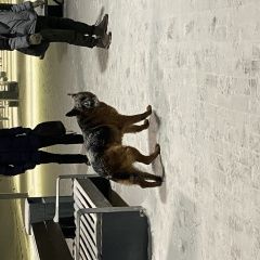 ����: ������� ������ �������� ������� �������� ������ ������� � ������� (����������...� � �. ���������