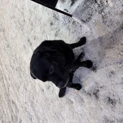 ����: ������� ������ �������� �������� �������� ������ ������ �� ������ � �. ������